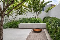 a modern garden with gravel and trees in the back ground, surrounded by shrubbery