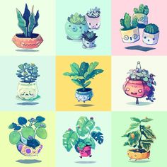 four different kinds of potted plants in various colors and shapes, each with an animal face on the top