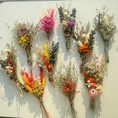 a bunch of dried flowers laid out on a white surface with the stems still attached