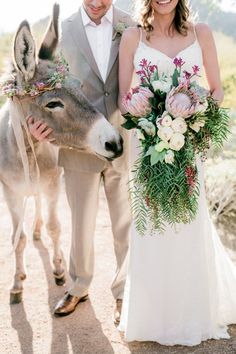 a bride and groom standing next to a donkey with flowers on it's head