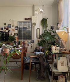 a room filled with lots of plants and furniture