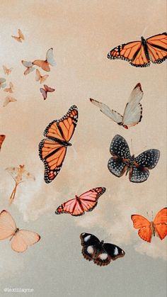 many different colored butterflies flying in the sky with clouds behind them and one is looking up at the camera