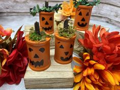 pumpkin planters with moss in them sitting on a wooden stand next to flowers and leaves