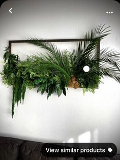 some plants are hanging on the wall above a couch