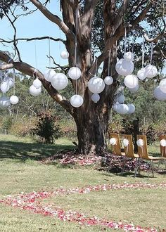 several white paper lanterns hanging from a tree