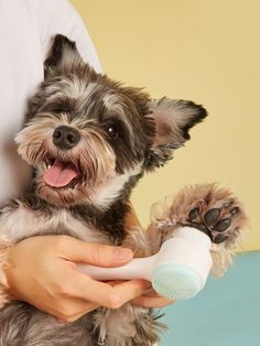 a person holding a small dog with a hair dryer in their hand