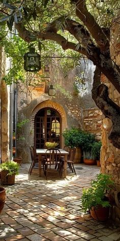 an outdoor dining area with potted plants and trees