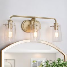 a bathroom vanity light with two lights on the side and a potted plant next to it