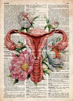 an old book page with flowers in the shape of a female utensil on it