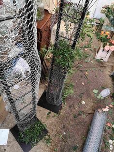 three metal vases with plants in them sitting next to each other on the ground