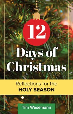 This unique booklet is a helpful tool for families to use to celebrate with gladness all 12 days of Christmas from a Christian perspective. Family-friendly reflections, Bible readings, songs and suggested activities about the story of salvation are included for each numbered day to keep the celebration of the birth of Jesus going all the way to Epiphany. Perfect as a handout at your Christmas Eve and Day services. Christmas Reflections, Bible Readings, Conference Talks, Advent Activities, Doctrine And Covenants, Heirloom Recipes, Advent For Kids, Catholic Books, Gospel Message