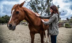 a woman standing next to a brown horse