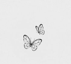 two butterflies flying in the air on a white background, one is black and silver