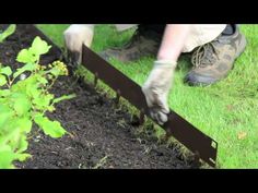 someone is digging in the ground with gardening tools