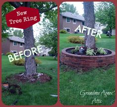 before and after pictures of a tree in a flower bed with the words new tree ring on it