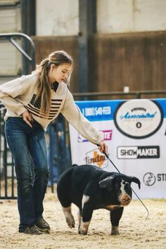 Showing Livestock, Ring Pictures, Ring, Pins, Quick Saves