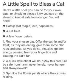 Spells With Cat Whiskers, Cat Claws Witchcraft, Cats And Witchcraft, Lost Cat Spell, Cat Healing Spell, Cats In Witchcraft, Cat Protection Spell, How To See Ghosts Spell, How To Be Witchy