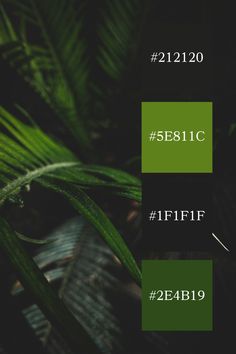 two green plants with the words sesiic and ififf below them are shown