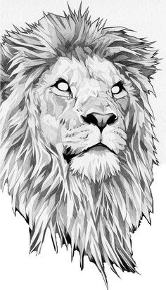 a black and white drawing of a lion