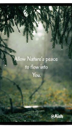 a tree with the words allow nature's peace to flow into you