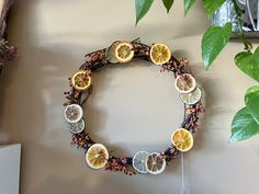 a wreath made out of oranges and lemon slices on a wall next to a potted plant