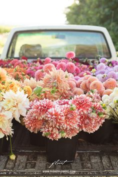 the flowers are in the back of the truck and ready to be picked for sale