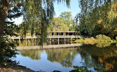 a bridge over a river surrounded by trees