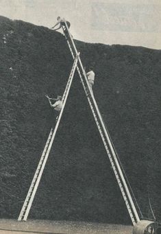 two people climbing up the side of a tall building with ladders attached to it