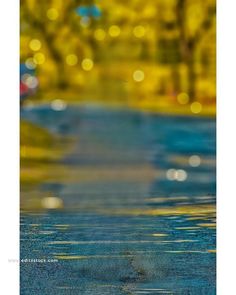 the reflection of trees in the water is very colorful and blurry at this time