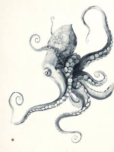 an octopus drawing with ink on paper