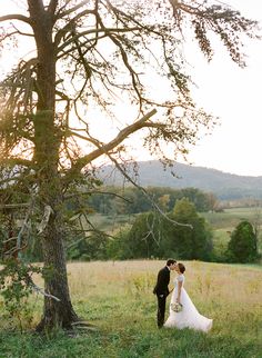 a bride and groom standing in the grass under a tree