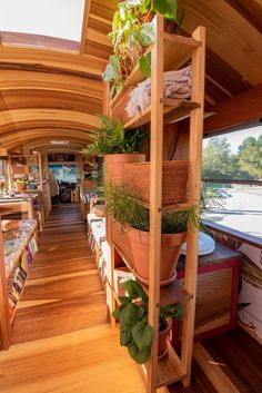 there are many plants on the shelves in this boat