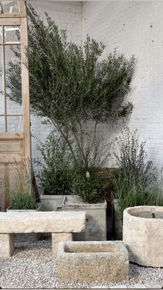 an outdoor area with cement planters and potted plants