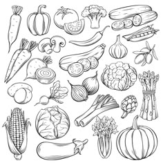 vegetables and fruits drawn by hand on white background