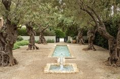 an outdoor fountain surrounded by trees and shrubs