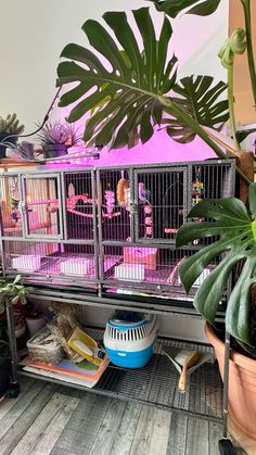 a bird cage with plants and other things in it