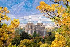 a castle surrounded by trees with mountains in the background