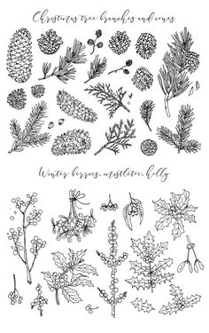 an image of christmas plants and berries in black ink on white paper, with the words merry