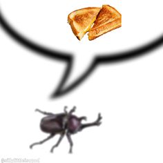 a bug that is eating some bread with it's face in the shape of a speech bubble