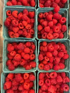 fresh raspberries are displayed in plastic containers