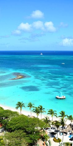 an aerial view of the beach and ocean with boats in the water, surrounded by palm trees