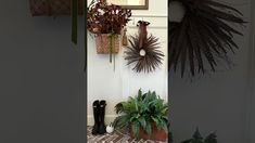 there are many plants hanging on the wall