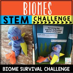 Biomes STEM Challenge The perfect challenge for students who are studying Biomes and Earth Science! This resource is part of the Earth Science (Entire) Curriculum. This resource has science, technology, engineering, and measurement activities to do with your upper elementary kids that will really... Environmental Careers, Biomes Activities, Biomes Project, Ecosystems Projects, Remote Teaching, Teaching Freebies, Geography Worksheets, Biology Classroom, Measurement Activities