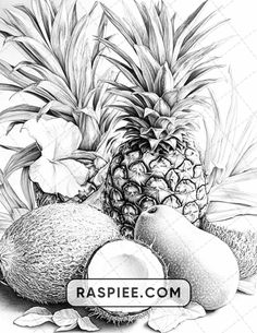 a black and white drawing of pineapples, coconuts and other tropical fruits