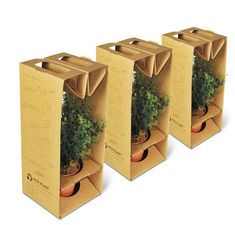 three cardboard boxes with plants in them