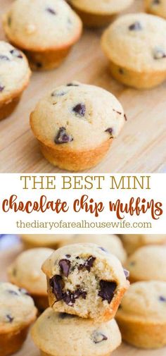 the best mini chocolate chip muffins recipe is easy to make and so delicious