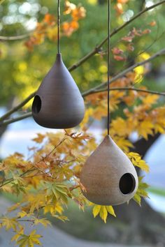 two bird houses hanging from a tree branch