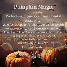 Pumpkin Magic, Magickal Herbs, Green Witchcraft, Magic Spell Book, Kitchen Witchery, Kitchen Magic, Eclectic Witch, Wiccan Spell Book, Witchcraft Spell Books