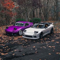 two sports cars parked next to each other in the fall leaves covered parking lot with trees and bushes behind them