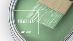 a paint can with a brush in it and the words velvet leaf painted on it